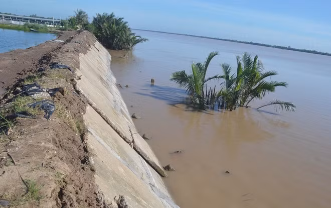 Để chống sạt lở, người dân phải bỏ tiền tỉ để làm bờ kè giữ đất.