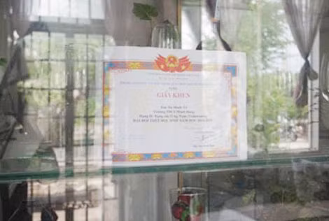 Giấy khen của em Dư Minh Vỹ vừa đạt giải Nhì môn Teakwondo tại Đại hội TDTT học sinh huyện Chơn Thành hồi đầu năm 2015.