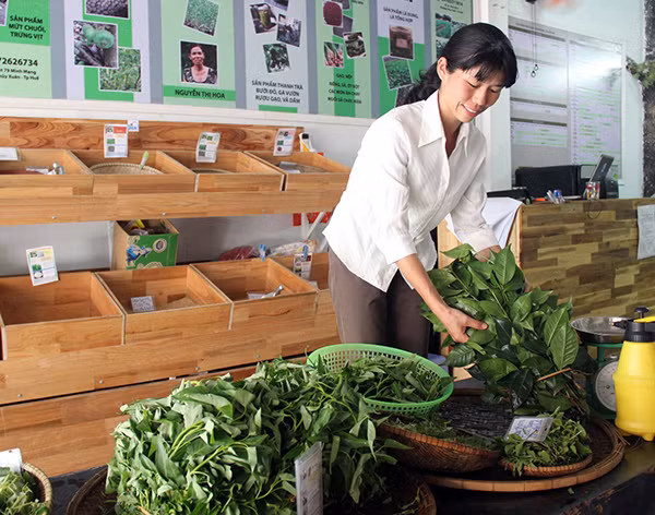 Chị Emiko kiểm tra các sản phẩm nông sản tại “Cửa hàng nông dân” số 44 Hai Bà Trưng, TP Huế.