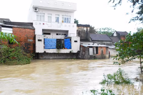 Nhiều ngôi nhà dọc bờ sông cầu Chợ Dinh (tổ 6, khu vực 4, phường Nhơn Bình), nằm bên mép nước dữ.