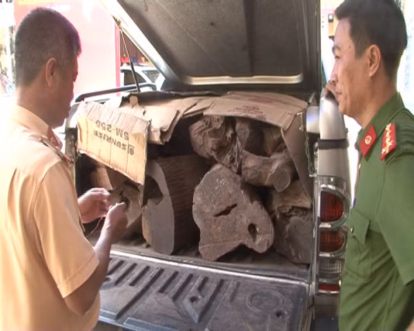 Ôtô BKS: 38C-005.67 chở gỗ trắc bị CSGT bắt giữ. Ôtô BKS: 38C-005.67 chở gỗ trắc bị CSGT bắt giữ.