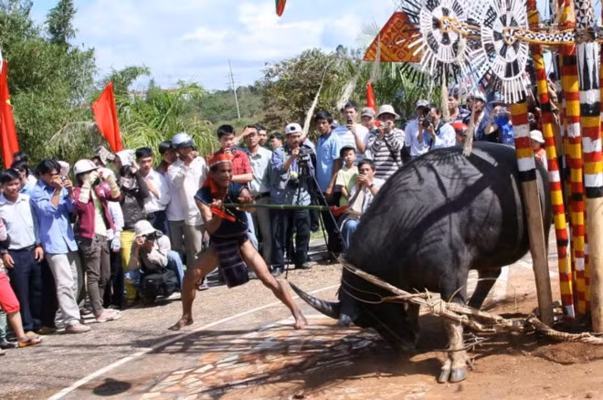Để có kinh phí tổ chức lễ hội đâm trâu, UBND xã Hồng Tiến thu mỗi hộ dân trên địa bàn xã 300 ngàn đồng và nhiều hộ dân đã phản đối chủ trương này. (Ảnh Internet).