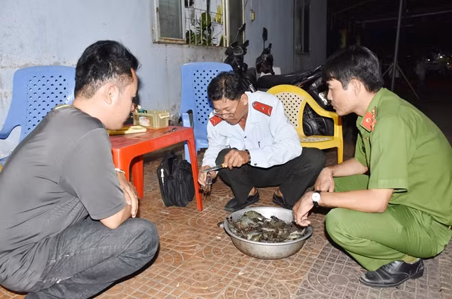 Cơ quan chức năng kiểm tra số tôm bơm tạp chất.