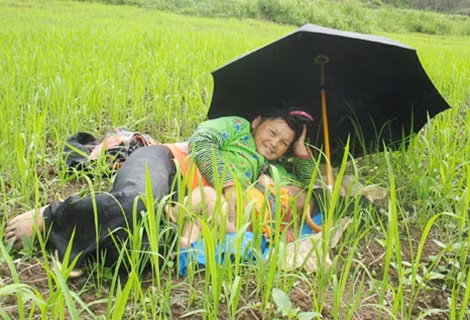 Điện Biên bình yên.