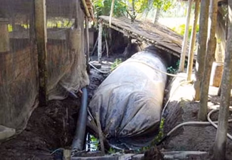 Nếu không sử dụng biogas an toàn, những túi khí biogas như thế này sẽ là mối đe dọa trực tiếp đến tính mạng những người xung quanh.