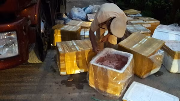 3,5 tấn nội tạng, thịt động vật thối trên xe tải bị lực lượng CSGT Công an tỉnh Quảng Nam phát hiện vào ngày 14-1.