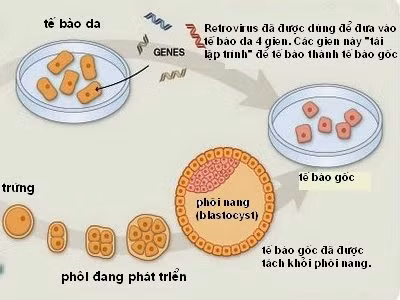 Ảnh minh họa.