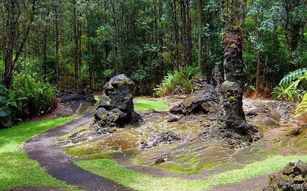 Cụ thể, dung nham cao hơn 3m do núi lửa Kilauea phun trào đã chảy qua một rừng cây. Cụ thể, dung nham cao hơn 3m do núi lửa Kilauea phun trào đã chảy qua một rừng cây.