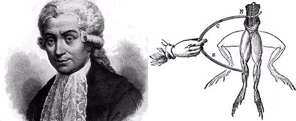 Điều này xuất phát từ việc Giovanni phát hiện ra cái gọi là “điện sinh vật” vào năm 1780. Cụ thể, nhà triết học Giovanni thực hiện thí nghiệm kích thích thần kinh cơ, trong đó có việc truyền dẫn điện vào đùi ếch trước khi rút ra kết luận rằng cơ thể sinh vật tồn tại một dòng điện.