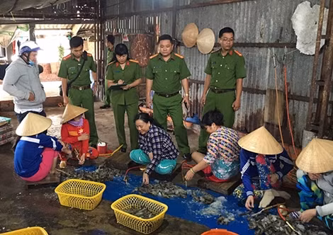 Mạnh tay xử lý nạn bơm tạp chất vào tôm