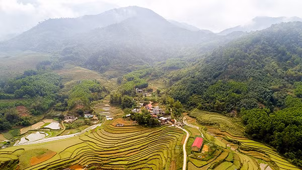 ... cũng là đặc trưng ở Bình Liêu.