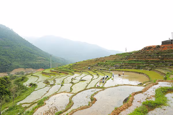 Mùa cấy ở Bình Liêu.