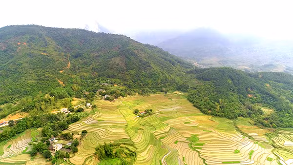 Ruộng bậc thang...