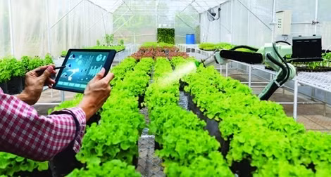Công bố Báo cáo tổng quan nông nghiệp số Việt Nam 2021