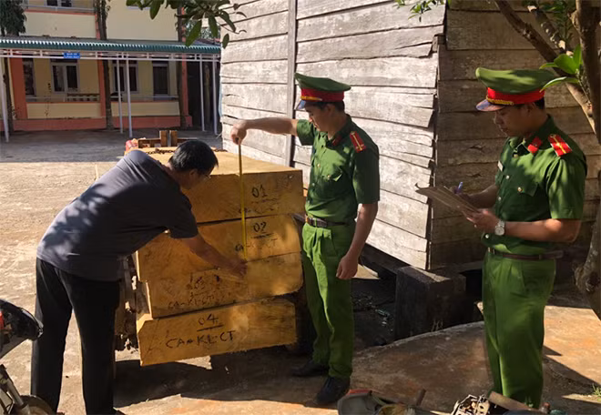 Công an huyện Đắk Song bắt, xử lý 1 vụ vận chuyển lâm sản trái phép.
