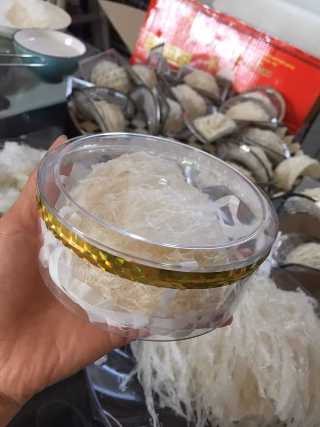Yến sào chất đống trong nhà chị Dịu sau cú lừa ngoạn mục.