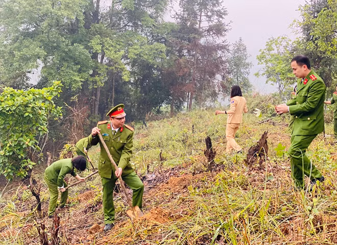 Hỗ trợ anh Nông Văn Tướng, đoàn viên thôn Pò Chài, xã Tân Mỹ, Văn Lãng trồng 1000 cây hồi.