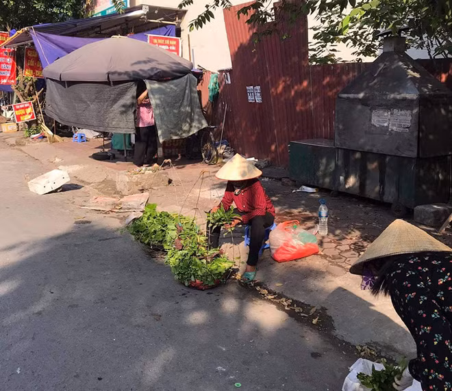 Gánh hàng rau cũng ế.