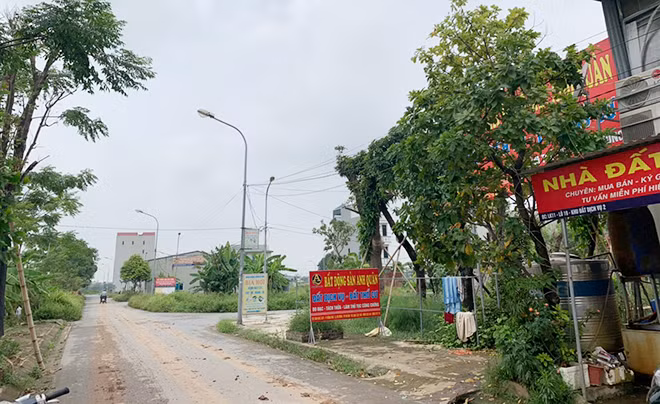 Khu đất dịch vụ dù khá khang trang nhưng điện, nước vẫn chưa có.