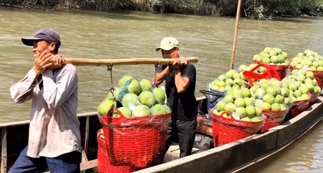 Thúc đẩy tiêu thụ trái cây của Việt Nam tại thị trường Hoa Kỳ ảnh 3
