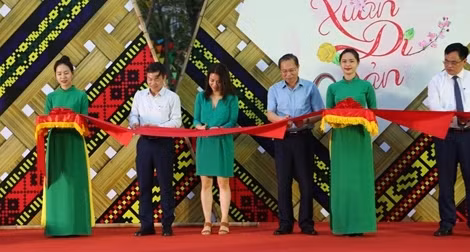 Nhà máy Điện gió BIM: Góp phần định hình tổ hợp kinh tế muối và năng lượng tái tạo lớn nhất Việt Nam ảnh 3