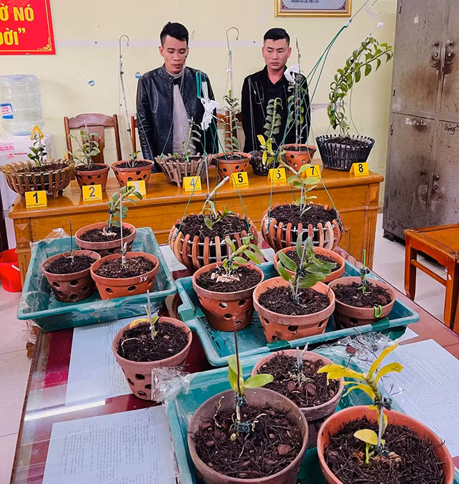 Hà Văn Thắng, Phạm Quang Hùng cùng tang vật thu được.