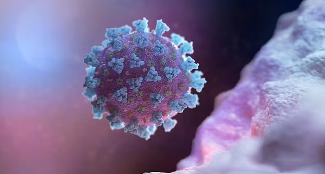 Biến thể mới của virus SARS-CoV-2 tìm thấy tại Nhật Bản có cấu trúc khác so với các biến thể tại Anh và Nam Phi. Nguồn: Thepharmaletter.