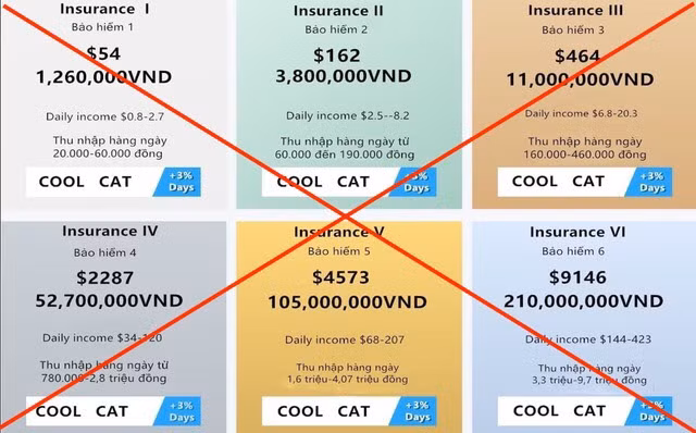 Nỗi cay đắng mang tên... Coolcat.