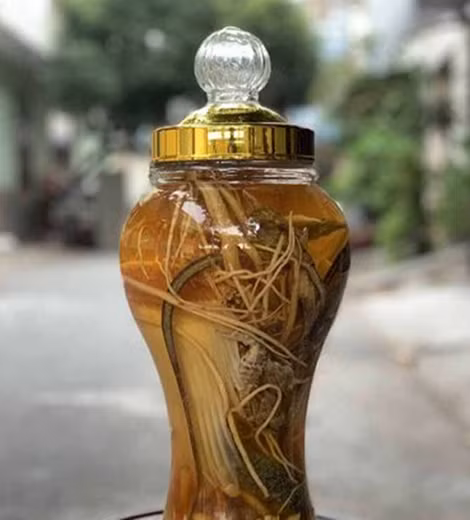 Rượu “cười” ngâm vi cá và nhân sâm.