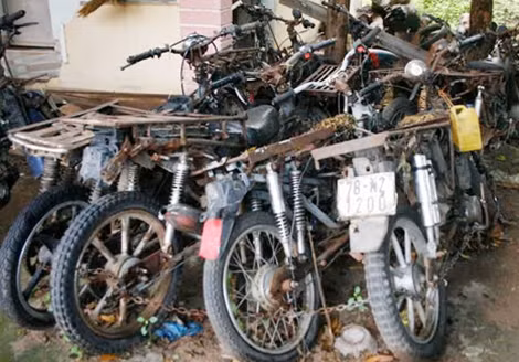 Gỗ và phương tiện thu giữ.
