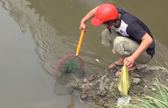 Người dân vẫn bắt cá ngang nhiên dù đã có bản cấm bắt.
