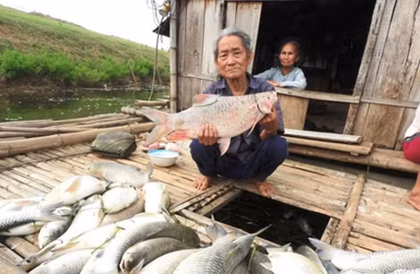 Xả thải làm cá chết hàng loạt, Công ty Cổ phần mía đường Hoà Bình bị đình chỉ hoạt động 6 tháng.