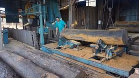 Bên trong một xưởng cưa gỗ.