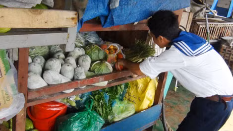 Chuẩn bị rau, quả cho tàu đi chúc Tết. Chuẩn bị rau, quả cho tàu đi chúc Tết.