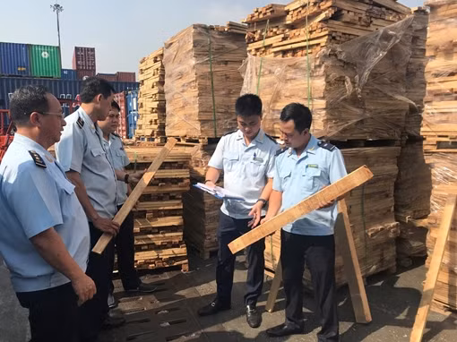 Ba giám đốc "bắt tay" trốn thuế hàng chục tỷ đồng ảnh 4