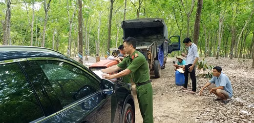 Xe tải đổ trộm trăm tấn bùn thải vườn cao su