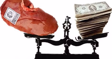 Gia tăng nạn buôn bán nội tạng người trên thế giới.