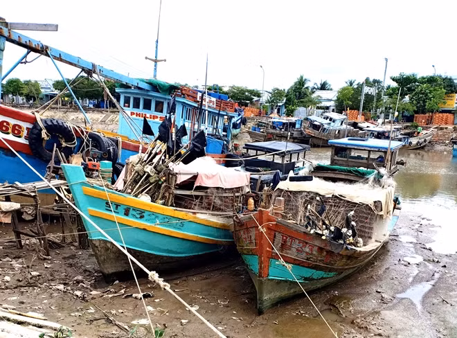 Cảng cá Trần Đề (Sóc Trăng).