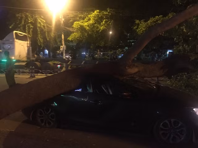 Hiện trường cây bật gốc đè xe ô tô trong đêm Hiện trường cây bật gốc đè xe ô tô trong đêm