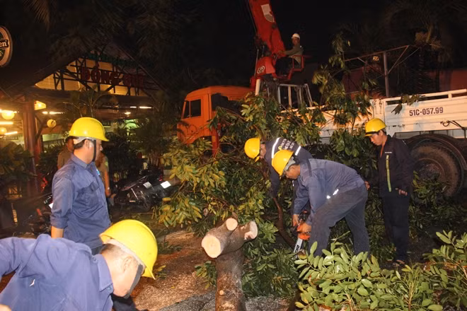 Công nhân Công ty Công viên Cây xanh TP đang khắc phục sự cố