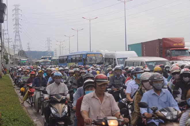 Các phương tiện nối đuôi nhau trên đường vào cảng