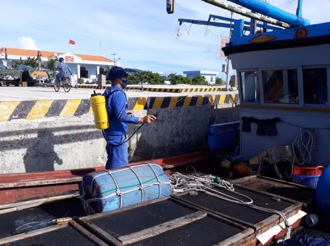 Trung tâm tổ chức phun thuốc khử trùng trước khi sửa chữa