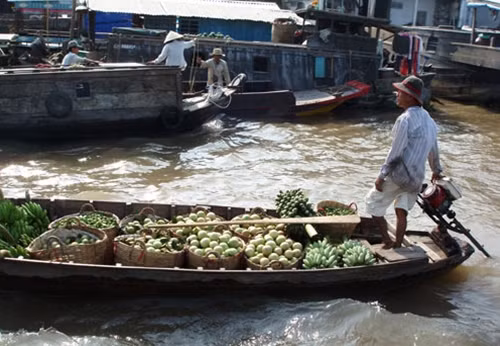 Do đặc thù cù lao cách trở, người dân Tân Lộc vẫn mong những chuyến xe cấp cứu từ thiện kịp thời.