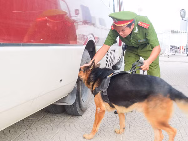 Chó nghiệp vụ - Đội Quản lý sử dụng chó nghiệp vụ trong lần truy tìm dấu vết tội phạm.