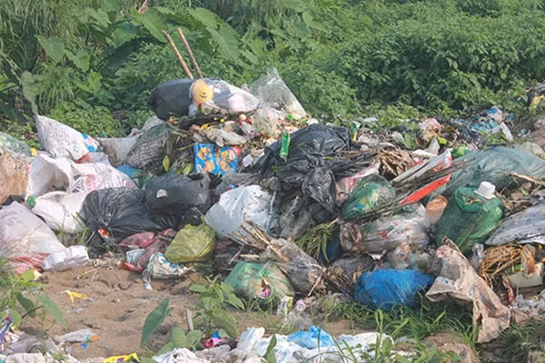 Bãi rác tự phát đầy ruồi nhặng gây mất vệ sinh ở khu vực đường liên thôn của xã Lệ Chi.