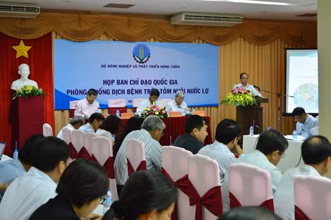 Các đại biểu tham dự hội nghị.