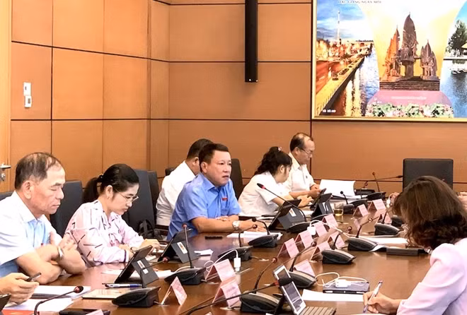 ĐBQH Thái Trường Giang thảo luận tại tổ.