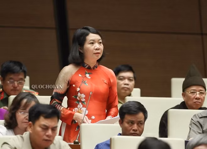 ĐBQH Mai Thị Phương Hoa.