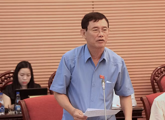ĐBQH Nguyễn Ngọc Phương thảo luận tại phiên họp.