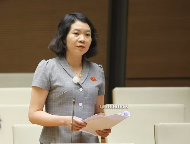 ĐBQH Mai Thị Phương Hoa (Nam Định) lý giải thuyết phục vì sao nên cấm dịch vụ đòi nợ thuê.